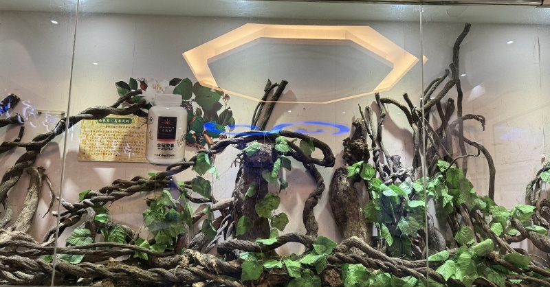 1745136737442532.jpg 葛根.jpg