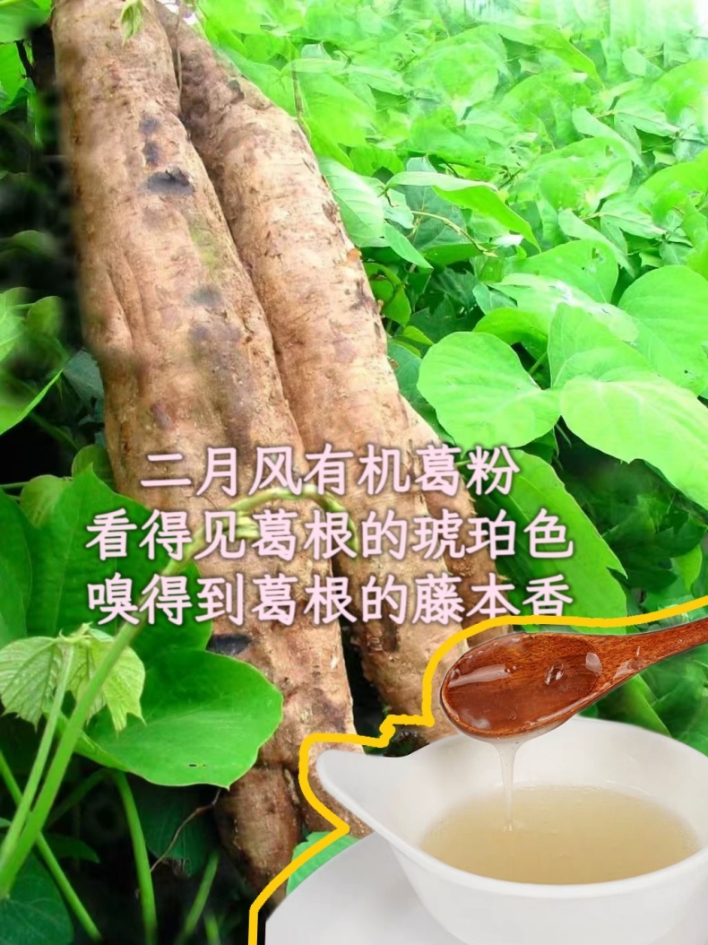 二月風(fēng)有機(jī)葛粉，看得見(jiàn)葛根的琥珀色，嗅得到葛根的藤本香_790.jpg