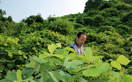 趙今月教授簡介