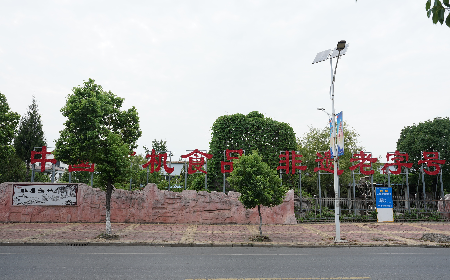 當(dāng)定制葛粉時，我們真正在選擇什么？