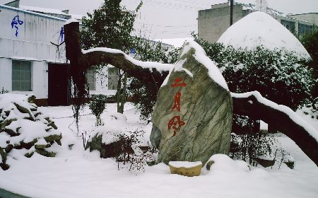 二月風(fēng)致老友：一碗葛根粉的牽掛，農(nóng)博會上的重逢之約二月風(fēng)盼老友：農(nóng)博會上，再續(xù)葛粉情緣