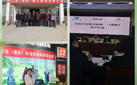 春季養(yǎng)生選好葛，二月風(fēng)以非遺匠心，定義行業(yè)品質(zhì)標(biāo)桿